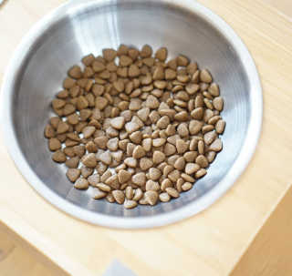 [풀무원 아미오] 자연담은식단 1kg 3종 — 5점을 준 리뷰어가 2020년 12월 올린 사용 사진