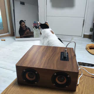 코딱지님이 올린 리뷰 사진 2