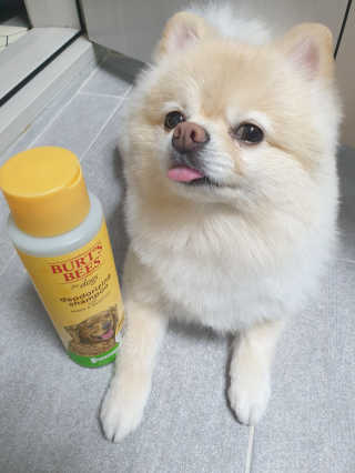 bangwoori님이 올린 리뷰 사진 3
