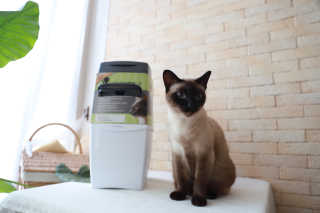 InesSong님이 올린 리뷰 사진 1