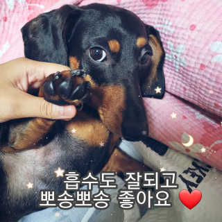 제제님이 올린 리뷰 사진 3