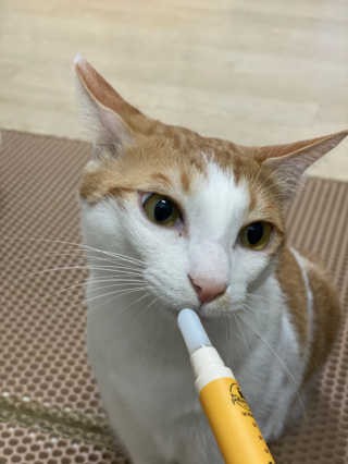 아두님이 올린 리뷰 사진 2