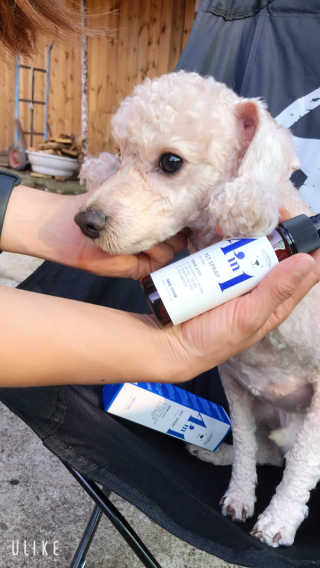 sunsunny님이 올린 리뷰 사진 2