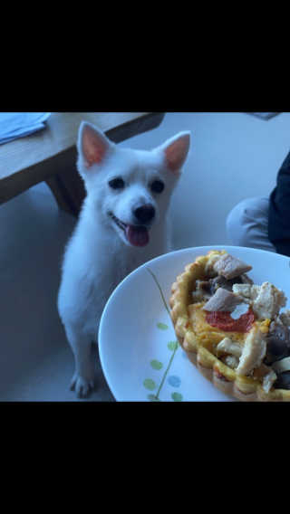 예니님이 올린 리뷰 사진 2