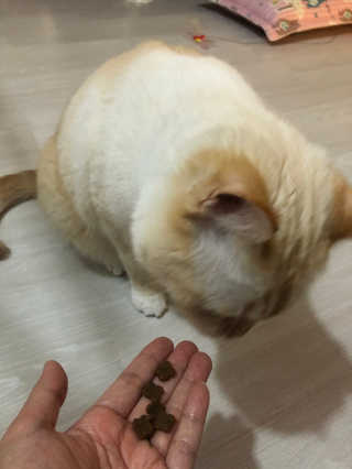 보라보라님이 올린 리뷰 사진 3