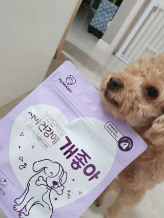 My Pet Care 천연단백질 치아건강에 개좋아 — 5점을 준 리뷰어가 2020년 11월 올린 사용 사진