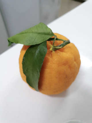 JAYDEN님이 올린 리뷰 사진 3