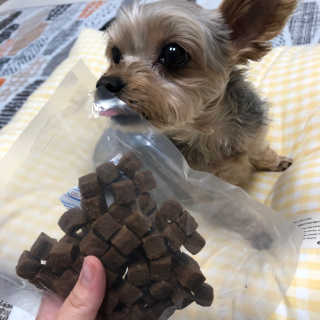 My Pet Care 천연단백질 관절건강에 개좋아 — 4점을 준 리뷰어가 2020년 11월 올린 사용 사진