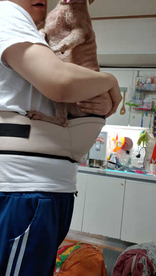 무지개둥이네님이 올린 리뷰 사진 3