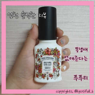 효티님이 올린 리뷰 사진 1
