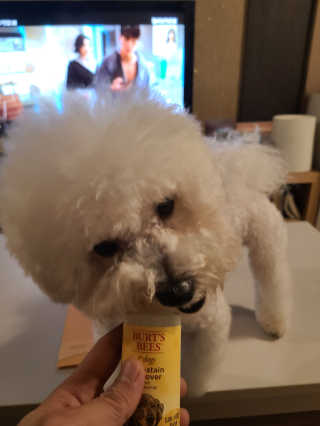바다님이 올린 리뷰 사진 2
