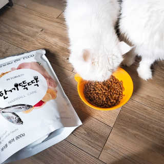 펫토리아 한끼뚝딱 프리미엄 고양이사료_그레인프리/헤어볼케어 — 5점을 준 리뷰어가 2020년 6월 올린 사용 사진