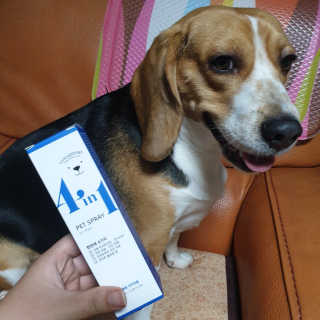 beaglelove님이 올린 리뷰 사진 1
