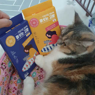 샛별꼬미호두맘님이 올린 리뷰 사진 1