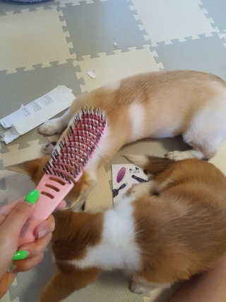 SeRyeonfit님이 올린 리뷰 사진 2