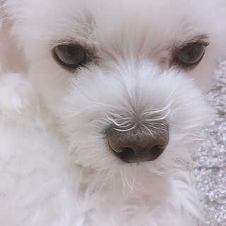 maisonde이안님이 올린 리뷰 사진 4