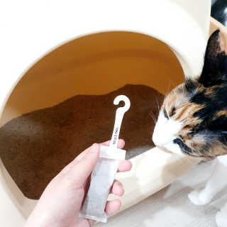 JENNY님이 올린 리뷰 사진 2