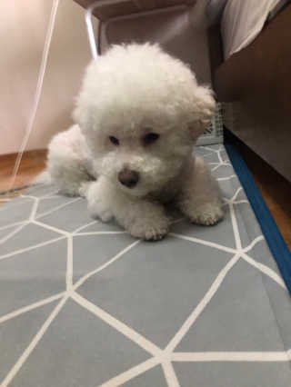 갱스님이 올린 리뷰 사진 3