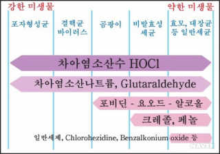모닝스타님이 올린 리뷰 사진 4
