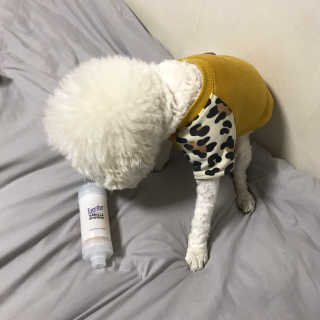 ariel님이 올린 리뷰 사진 2