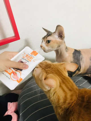 나린마마님이 올린 리뷰 사진 2