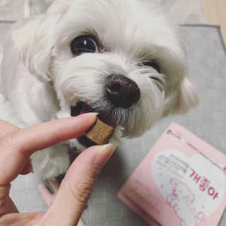 My Pet Care 천연단백질 관절건강에 개좋아 — 5점을 준 리뷰어가 2020년 12월 올린 사용 사진