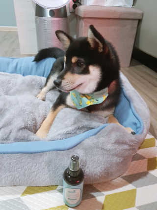 dahee♡님이 올린 리뷰 사진 3