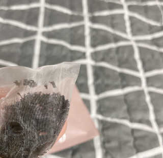 프로밍님이 올린 리뷰 사진 2