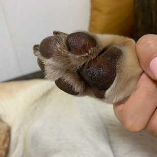 다무님이 올린 리뷰 사진 3