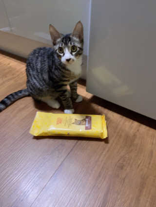 클로버님이 올린 리뷰 사진 3