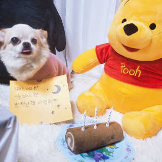 때니님이 올린 리뷰 사진 3