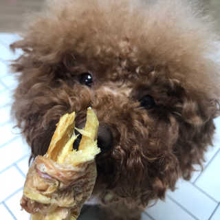 댕댕언니님이 올린 리뷰 사진 2