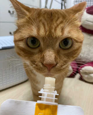 냥냥보스님이 올린 리뷰 사진 3