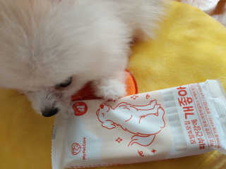 My Pet Care 모발과 모질 피부건강에 개좋아 — 5점을 준 리뷰어가 2020년 12월 올린 사용 사진