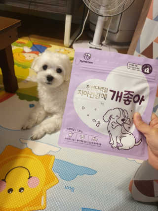 My Pet Care 천연단백질 치아건강에 개좋아 — 5점을 준 리뷰어가 2020년 11월 올린 사용 사진