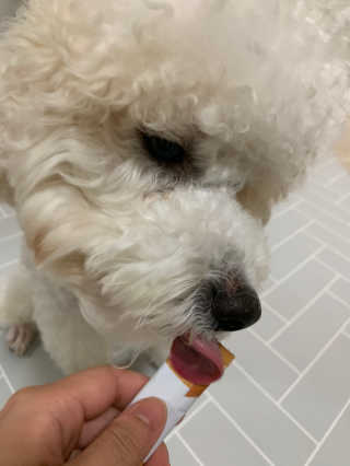 버디버즈님이 올린 리뷰 사진 3