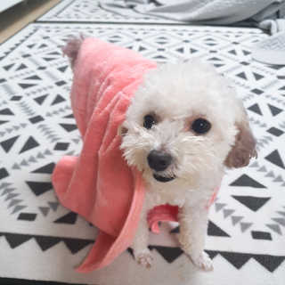 주여니이님이 올린 리뷰 사진 4