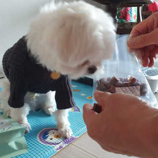 My Pet Care 천연단백질 눈건강에 개좋아 — 5점을 준 리뷰어가 2020년 11월 올린 사용 사진