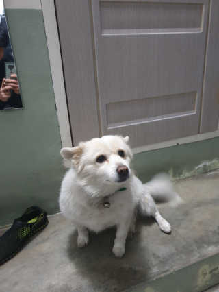 승키님이 올린 리뷰 사진 3