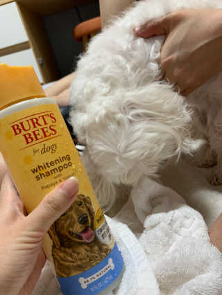 nangrang님이 올린 리뷰 사진 1