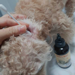김이설님이 올린 리뷰 사진 2