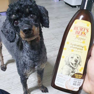 도당이님이 올린 리뷰 사진 4