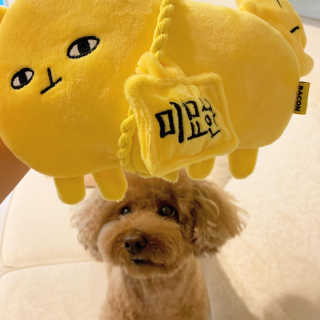 뚜루님이 올린 리뷰 사진 2