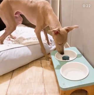 JeonEunju님이 올린 리뷰 사진 4