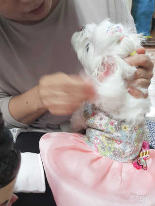 두부님이 올린 리뷰 사진 4