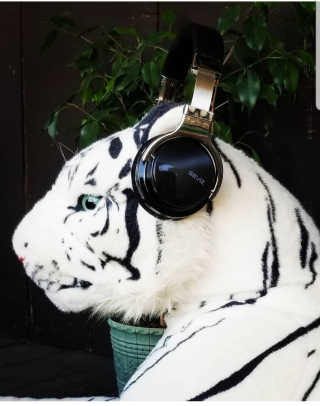 SEVIZ Bluetooth Headphones 10 3color — 5점을 준 리뷰어가 2020년 7월 올린 사용 사진
