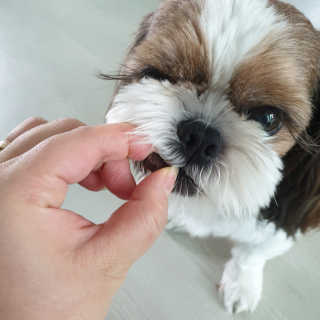 땡구엄마님이 올린 리뷰 사진 3