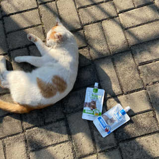 ㄴ모오러님이 올린 리뷰 사진 3