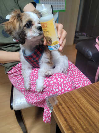 서서자매님이 올린 리뷰 사진 2