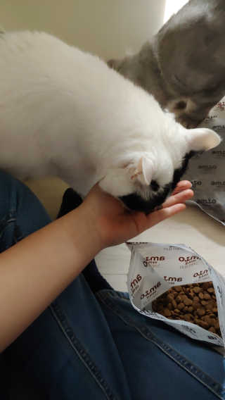 알파카파카님이 올린 리뷰 사진 4